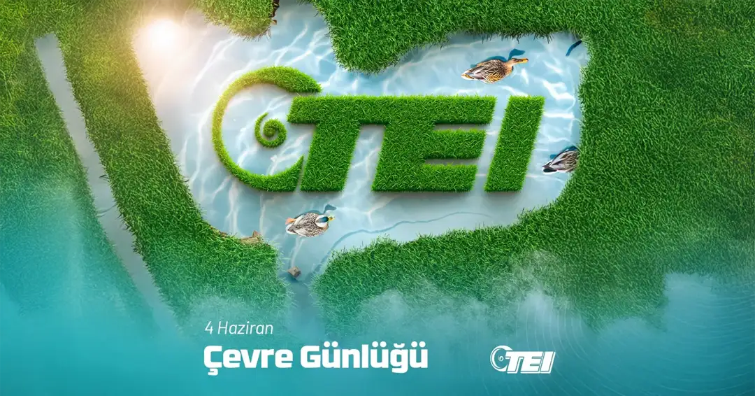 teı den doğaya değer çevre günlüğü .webp